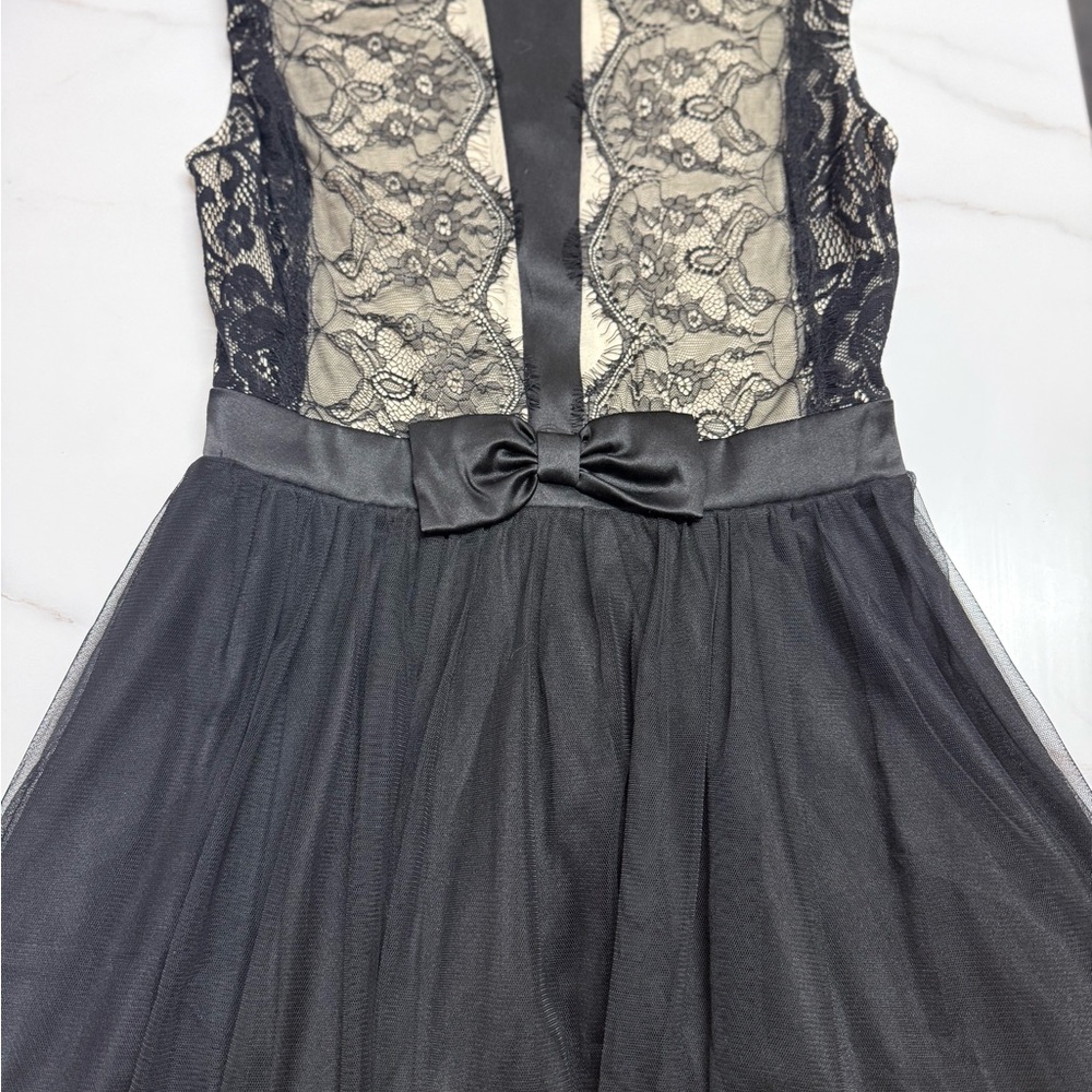Elegant Black Lace and tulle dress